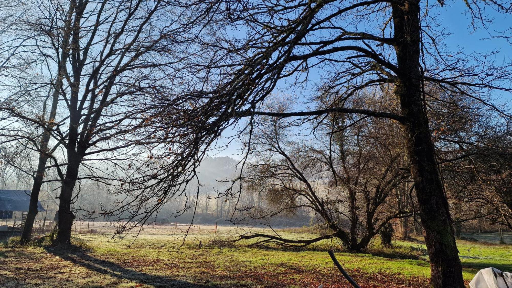 La Forestine Bergerac Kültér fotó